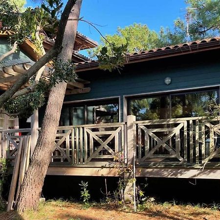 Lège-Cap-Ferret Yamina Lodge מראה חיצוני תמונה